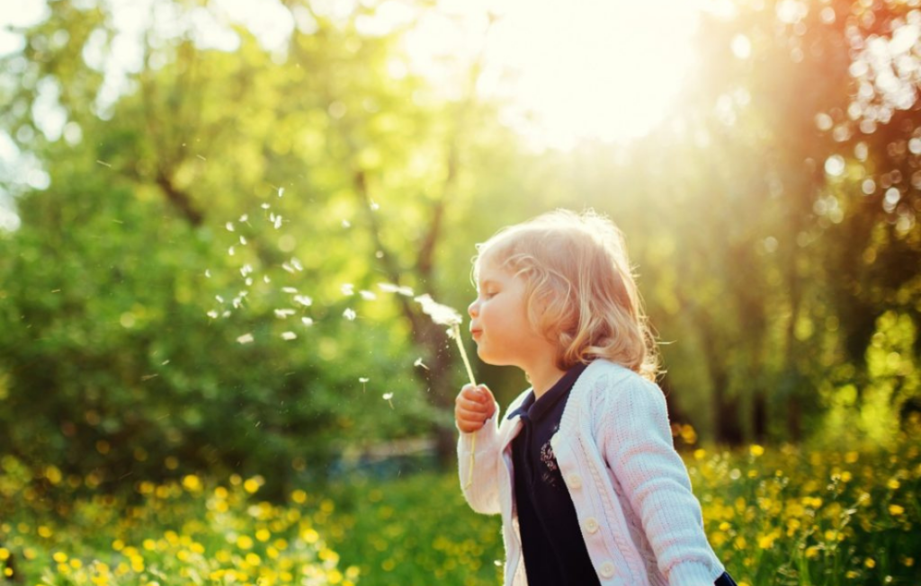 Petite fille soufflant sur une plante